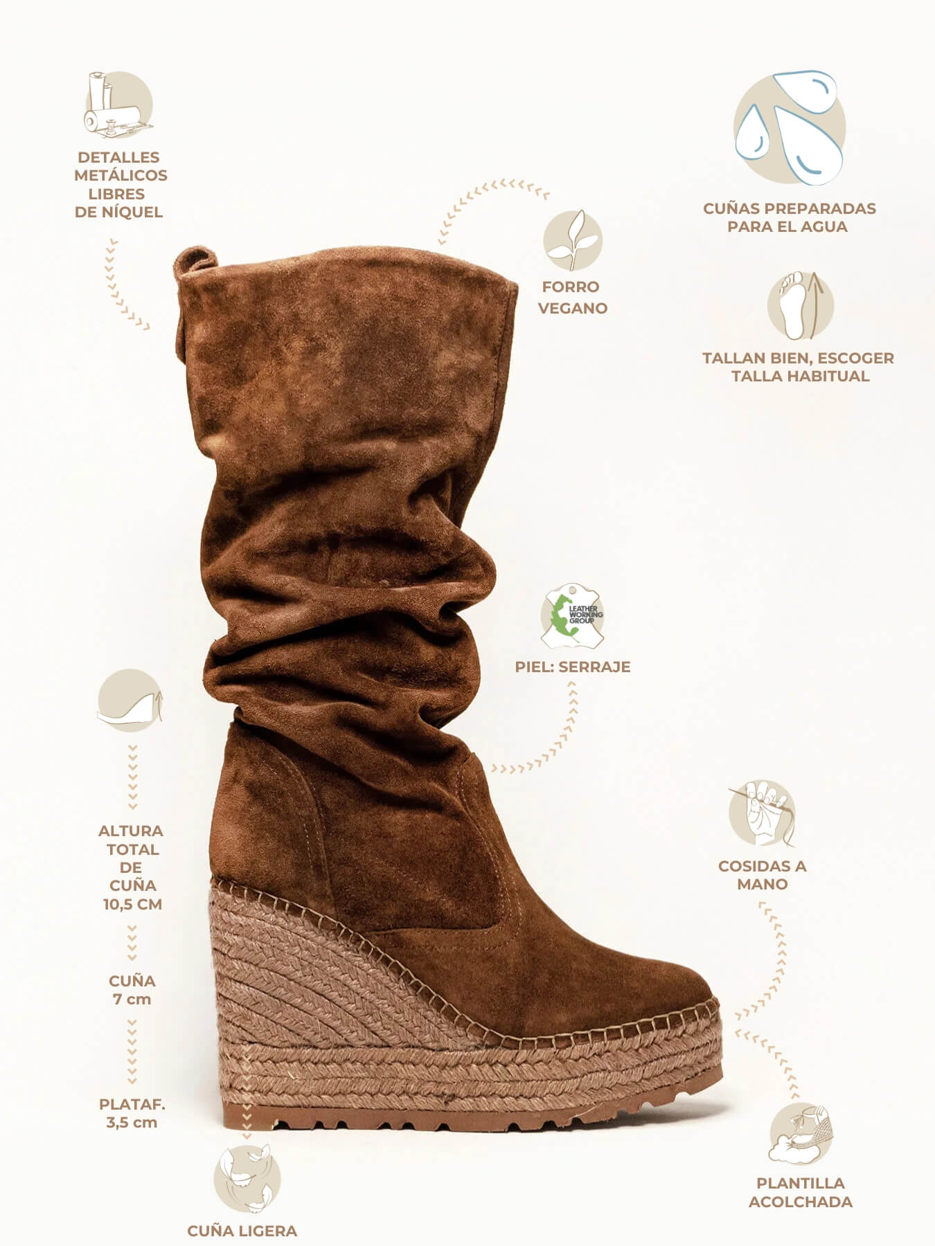 Olivo Cuña Alta Marrón