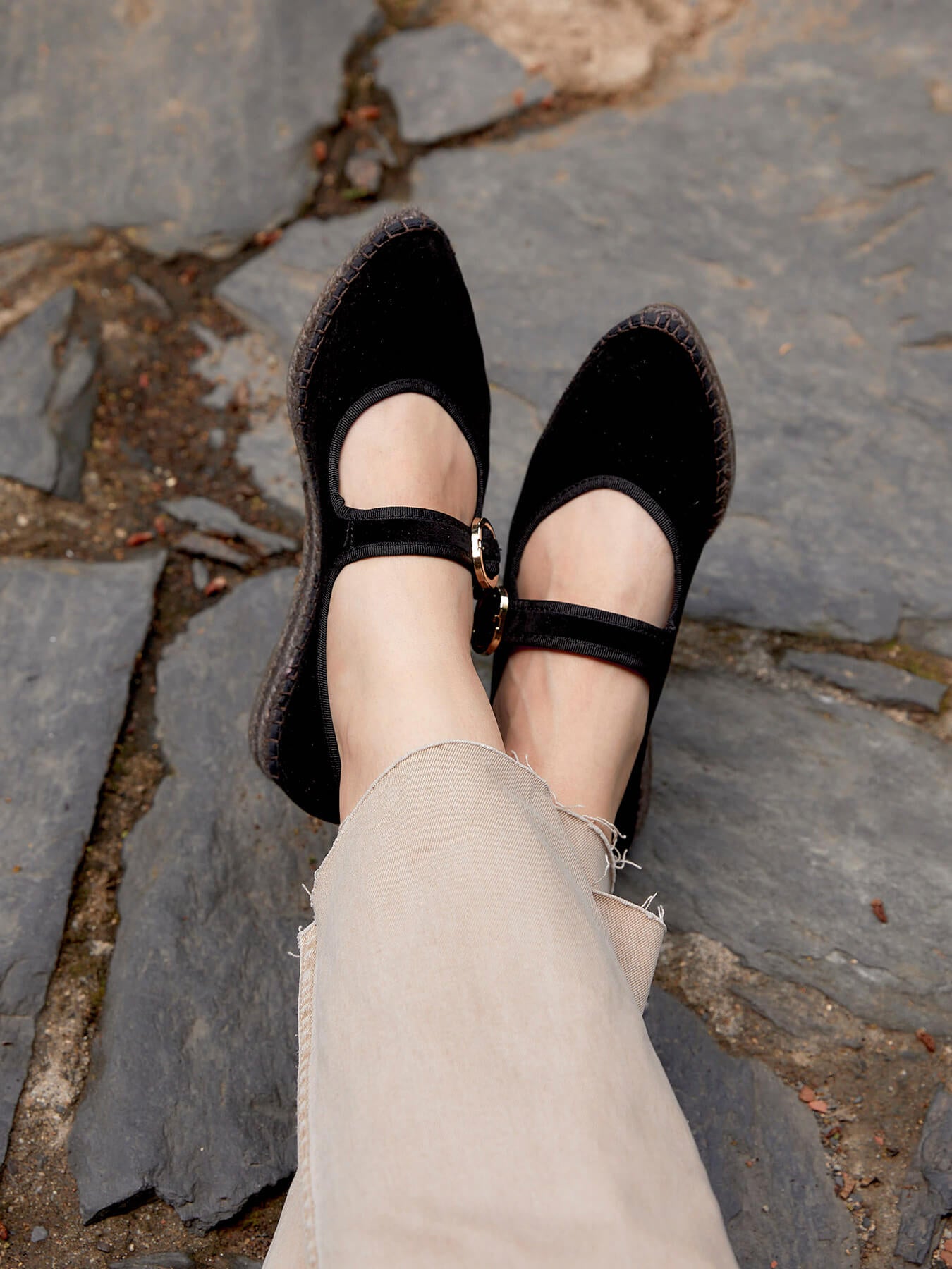 Azucena Terciopelo Negro