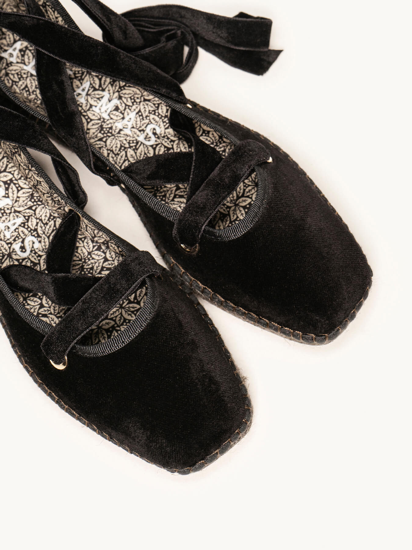 Begonia Cintas Terciopelo Negro