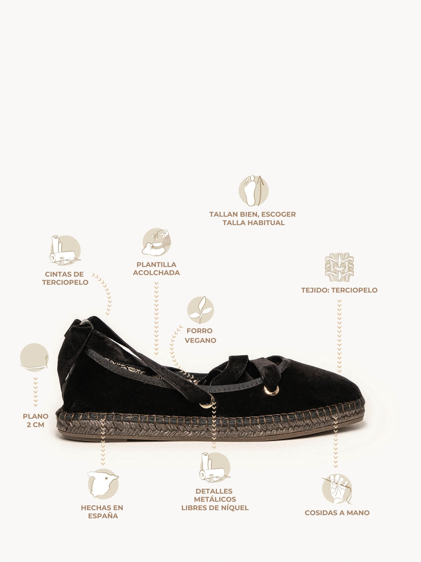 Begonia Cintas Terciopelo Negro