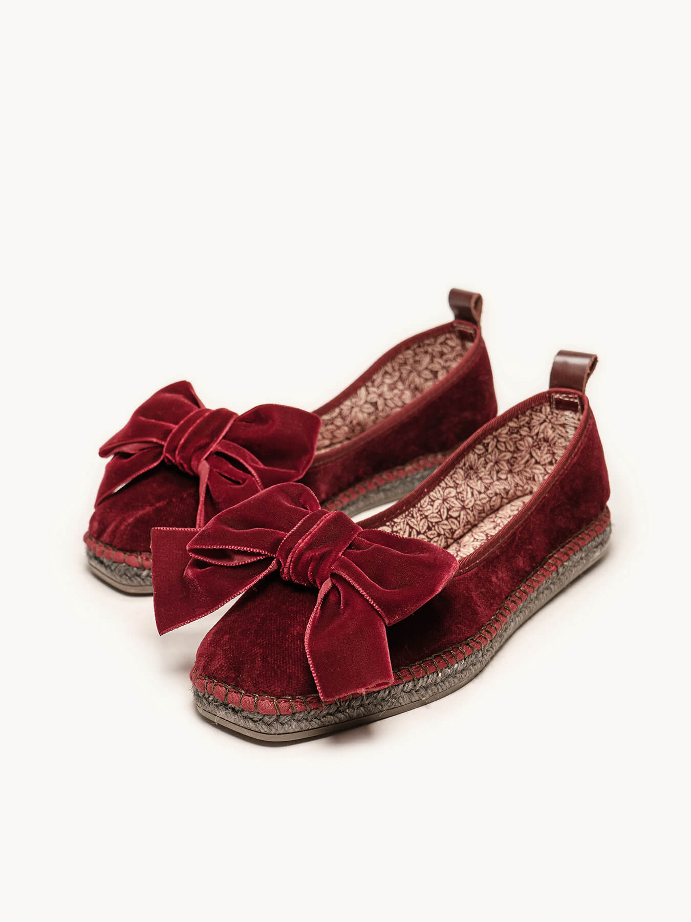 Begonia Terciopelo Lazo Granate