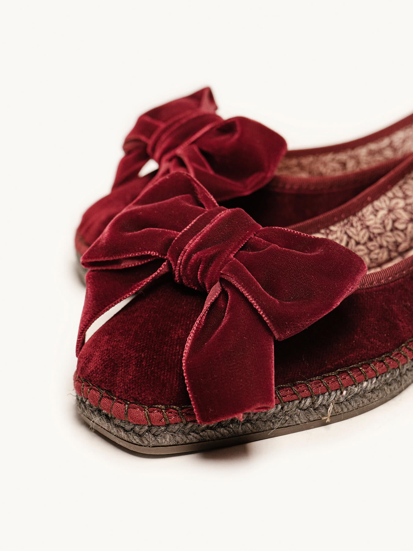 Begonia Terciopelo Lazo Granate