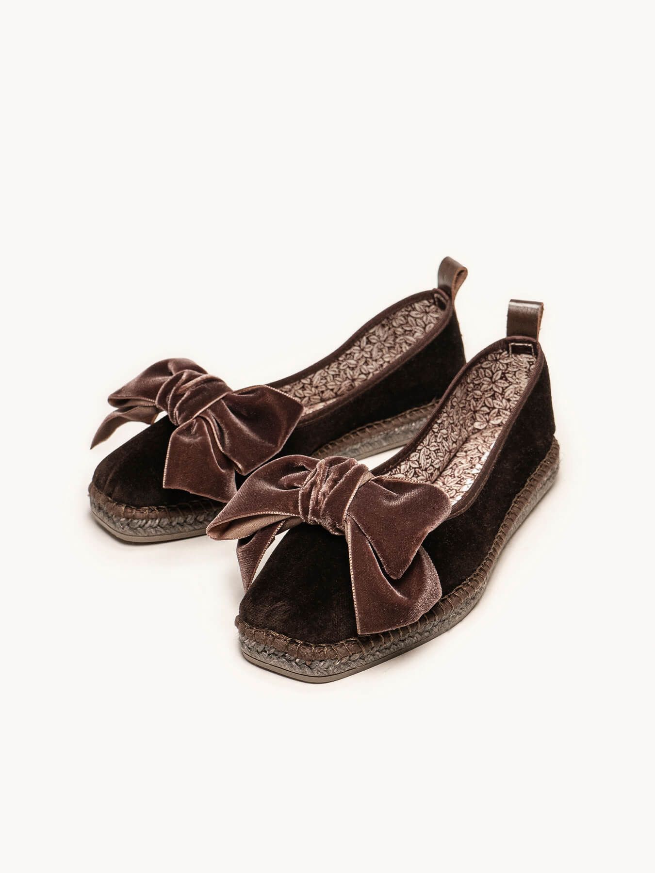 Begonia Terciopelo Lazo Marrón Oscuro