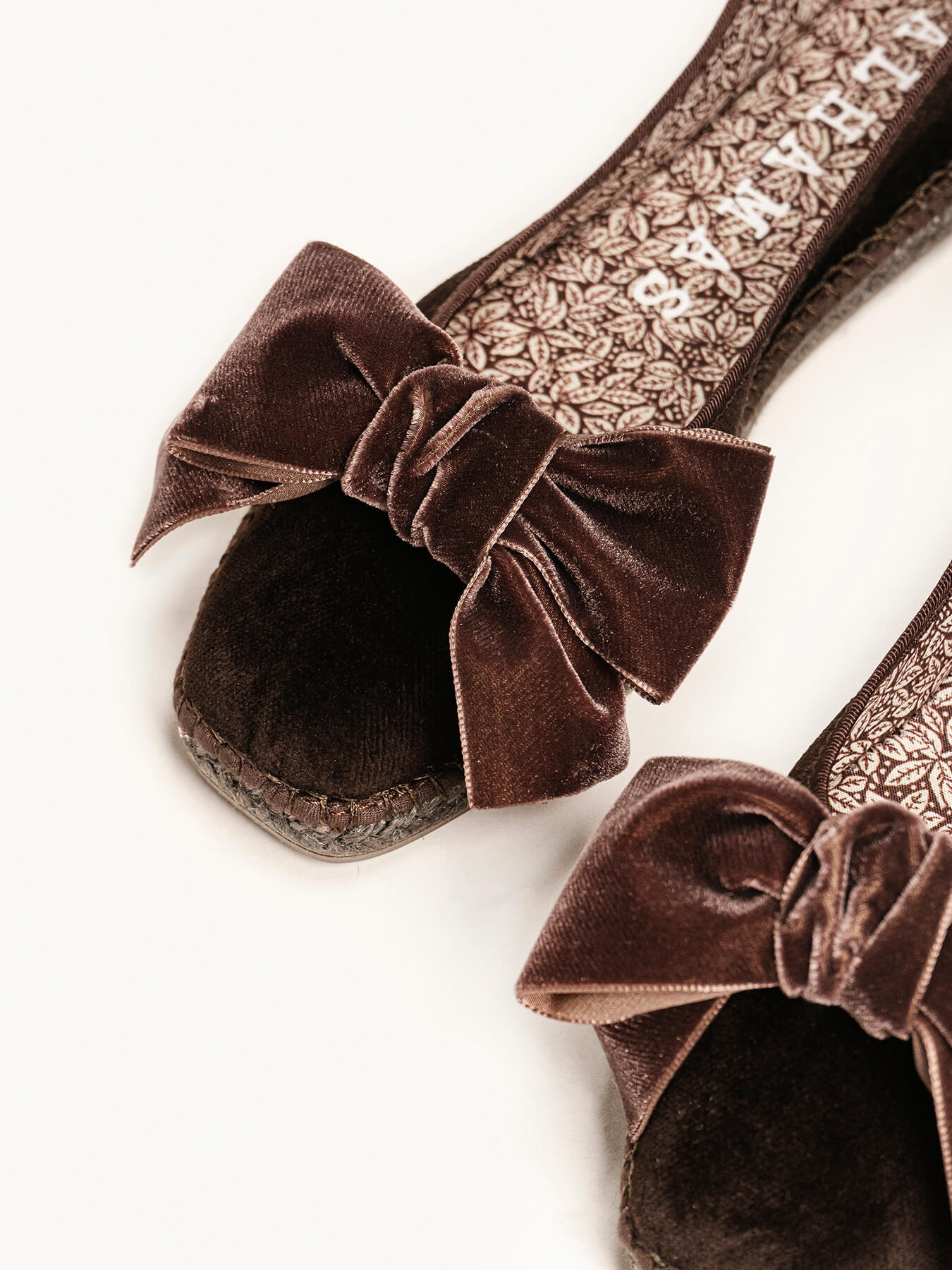 Begonia Terciopelo Lazo Marrón Oscuro