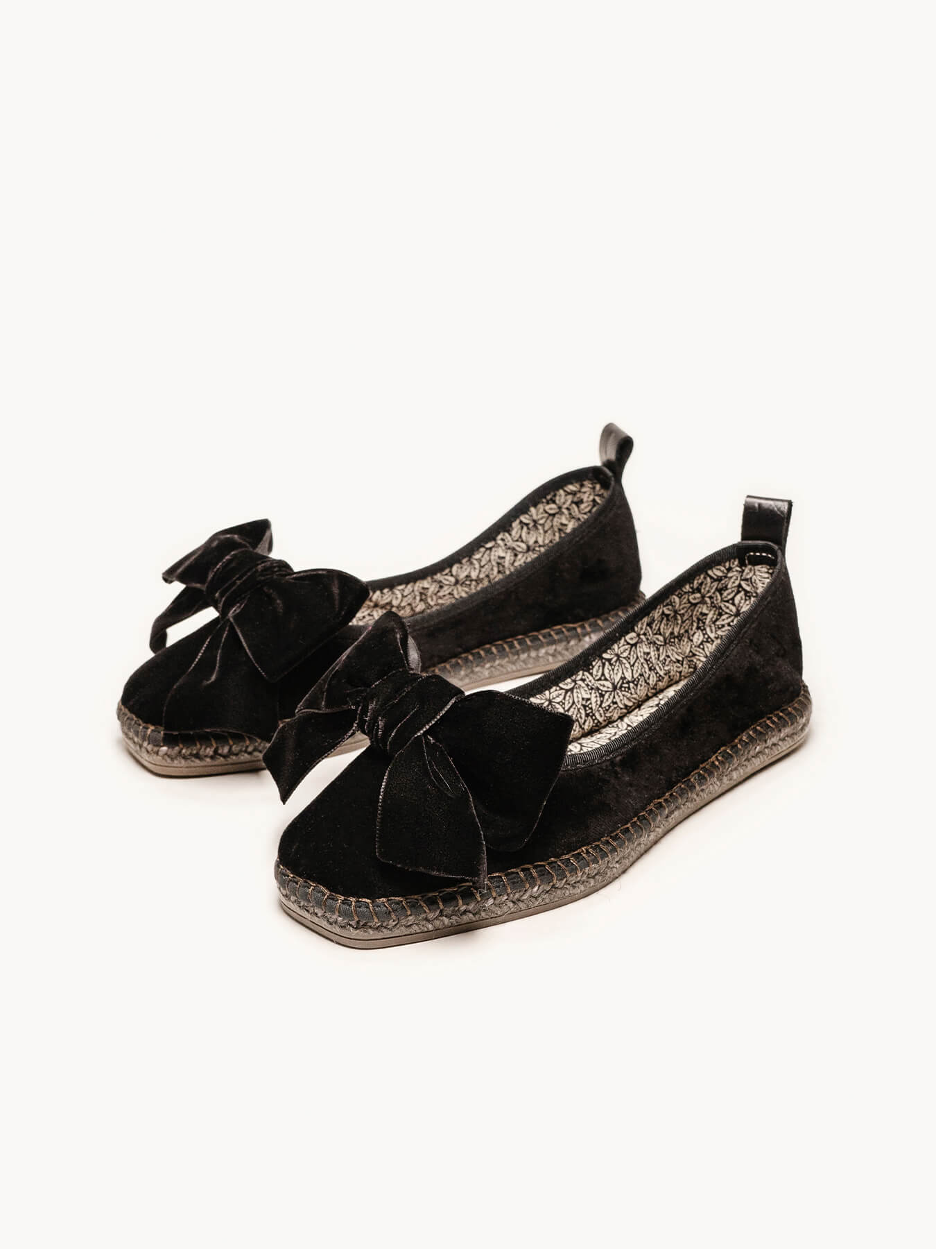 Begonia Terciopelo Lazo Negro