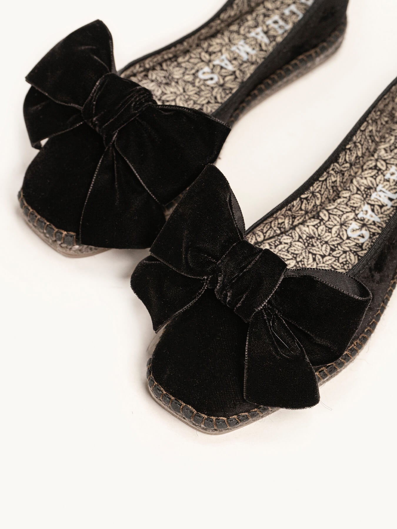 Begonia Terciopelo Lazo Negro