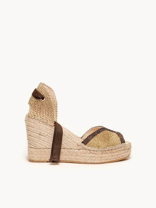 Lirio Cuña Alta Cordela Bicolor Marrón