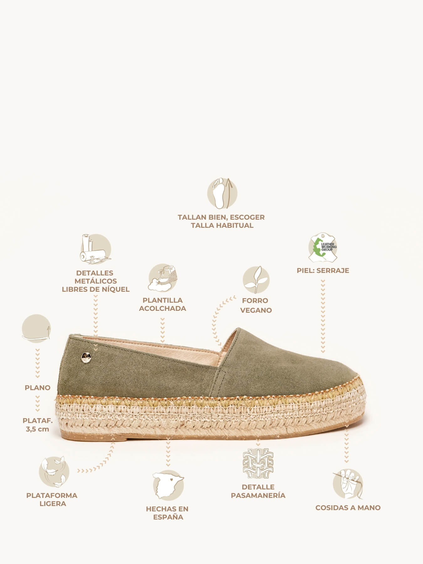 Trébol Serraje Verde